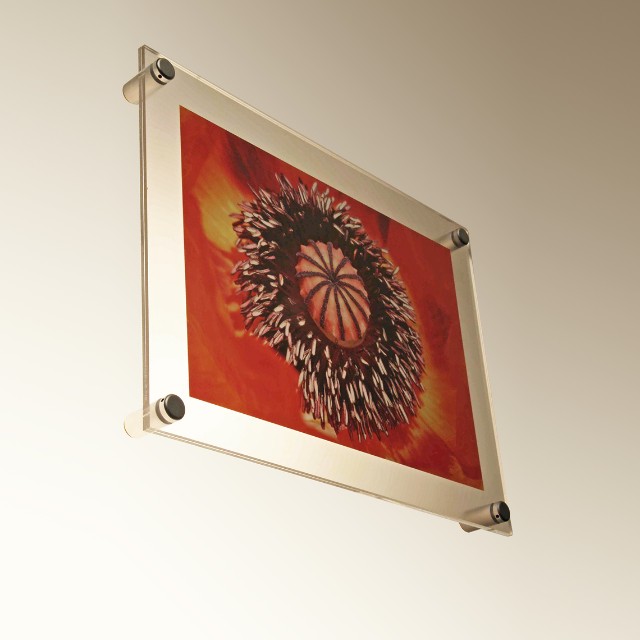Wall Mounting Photo Frame