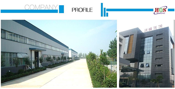 Suzhou Hongshuo Elastomer Technology Co Ltd