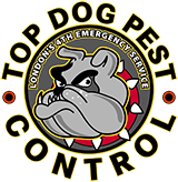 Top Dog Pest Control