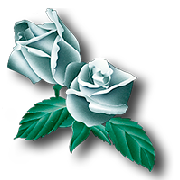White Rose Translations Ltd
