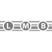 LMB Transmissions Ltd (LM Bearings)