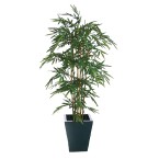 Natural Bamboo - CC575