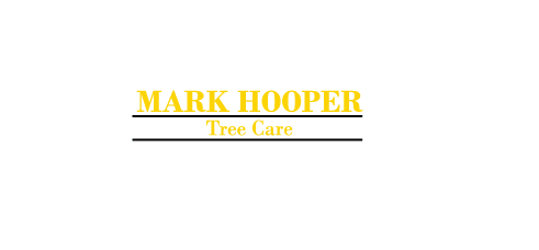 Mark Hooper Tree Care