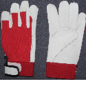 ITC Gloves