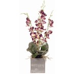 Purple Renantanda Orchid In Zinc Planter
