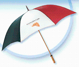 Customised Umbrellas 