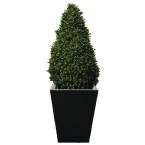 Artificial Topiary - Buxus Pyramid - CD160