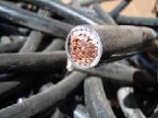Lead covered copper wire