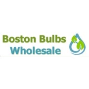 Boston Bulb Co Ltd, The