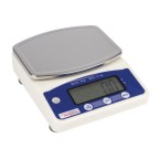 Weighstation Electronic Platform Scale