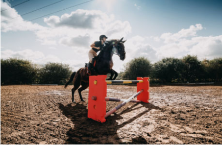 Revolutionising Jump Wings in Equestrian Jump Training