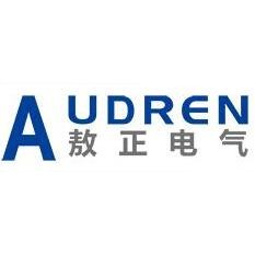 Shanghai Audren Electric Technology Co Ltd