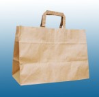 Take Away Paper Carrier Bags (10 PACK)