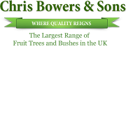 Chris Bowers and Sons
