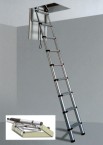 Telesteps Loft Ladder