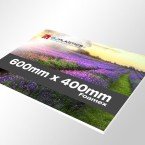 Foamex Sign Printing 600mm x 400mm