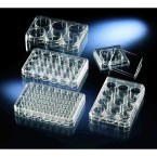 6 Well Multidishes Non-Treated Sterile Thermo Elect 150239 - Multidishes&#44; non-treated&#44; PS&#44; sterile