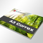 Correx Sign Board printing A3