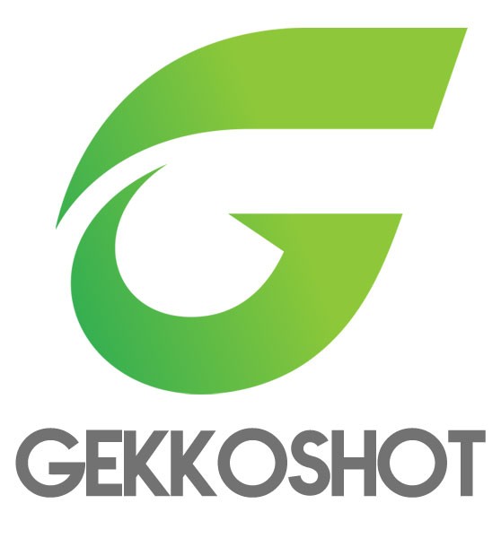 Gekkoshot Web Design Belfast