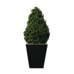 Artificial Topiary - Buxus Pyramid - CD159