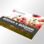 Foamex Printing 800mm x 600mm