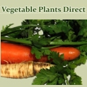 Vegetable Plants Direct