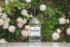 Be-gin Again! We’re Helping Masons Yorkshire Gin to Re-Automate