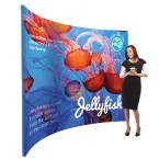 Curved Fabric Display Stand