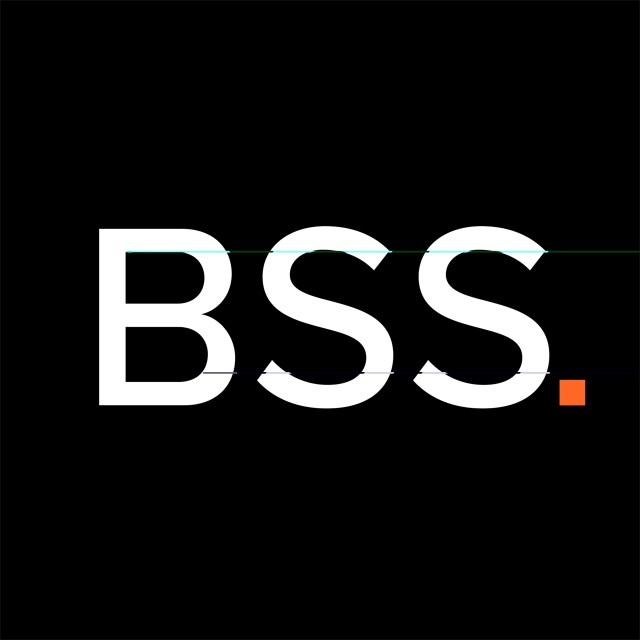 BSS - Cyber Security, Risk and Internal Audit Solutions & Services