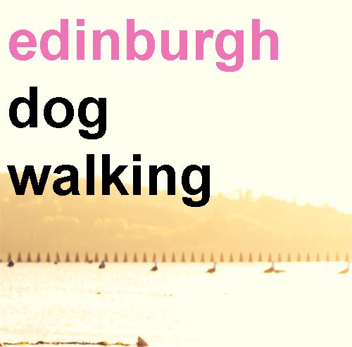 Edinburgh Dog Walking Services