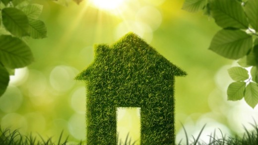 Five Steps Your Business Can Take To Improve Their Carbon Footprint