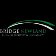 Bridge Newland Ltd