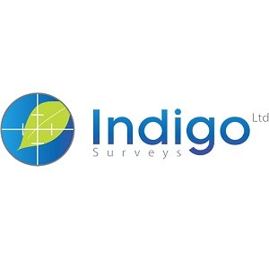 Indigo Surveys