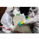 Asbestos Safety Management Ltd