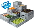 Ventilated Euro Containers