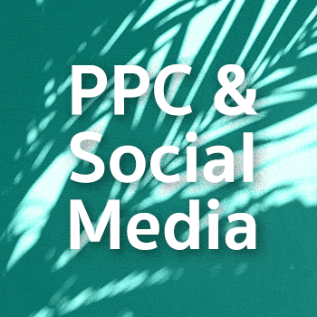 Digital Advertising (PPC & Social Media)